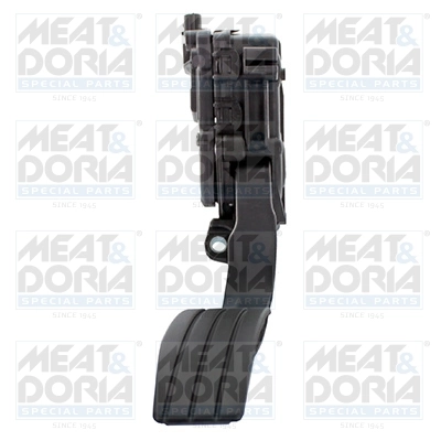 Accelerator Pedal Unit